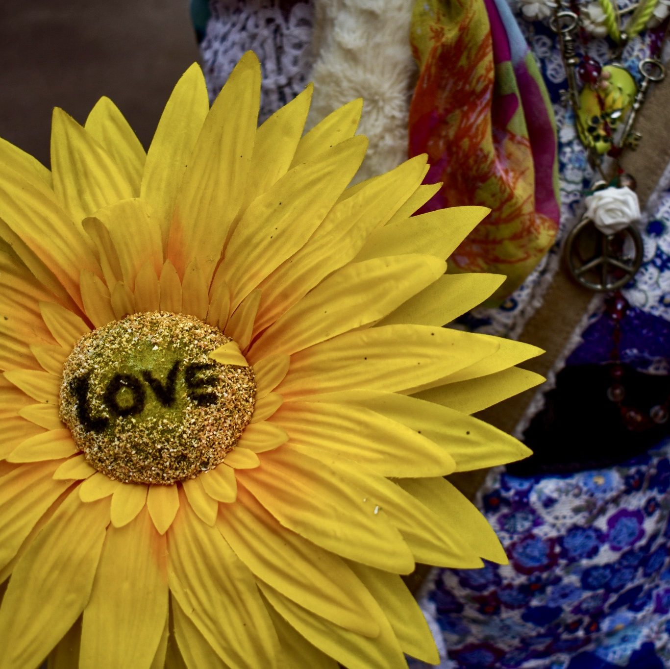 La video de Happy Hoppy hippies