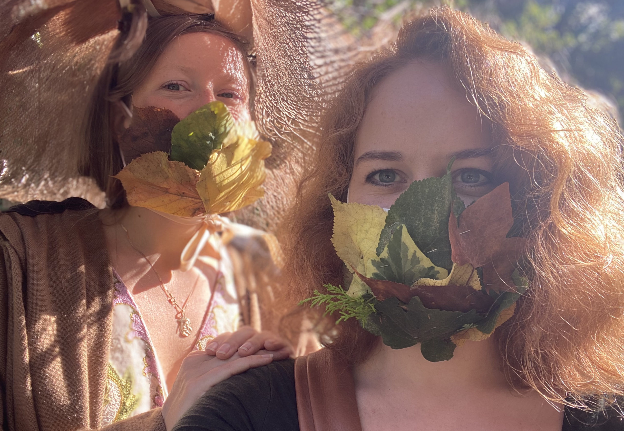 La fête de la forêt